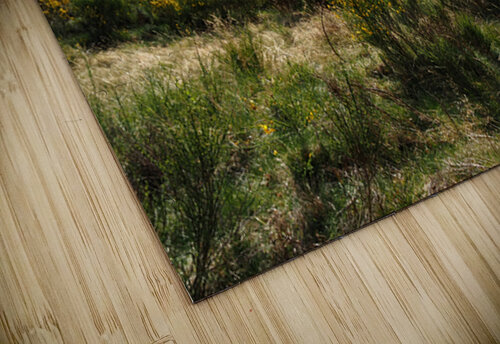  Strathspey Steam Railway on the Go                                                                                                                     Catriona Roberts Nature Photography and Designs puzzle