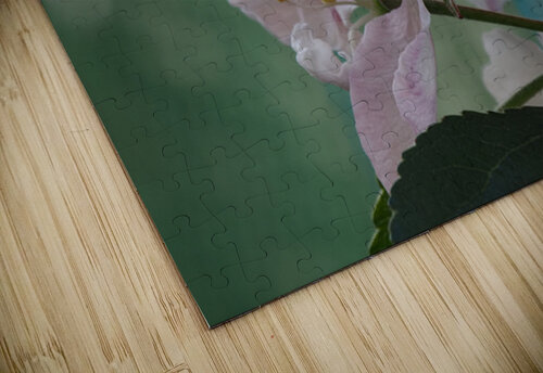  Spring Apple Blossoms                                                                                                                     Catriona Roberts Nature Photography and Designs puzzle