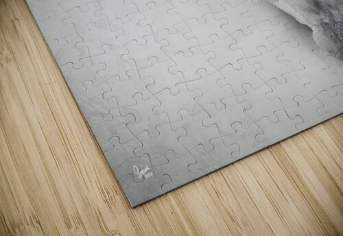 Isheena Suzanne Sturgill puzzle