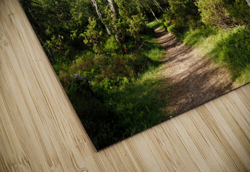  May Trail Through The Scottish Highlands                                                                                                                      Catriona Roberts Nature Photography and Designs puzzle