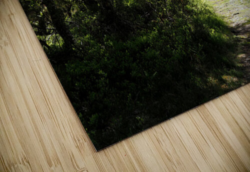 Scottish Highlands Spring                                                                                                        Catriona Roberts Nature Photography and Designs puzzle