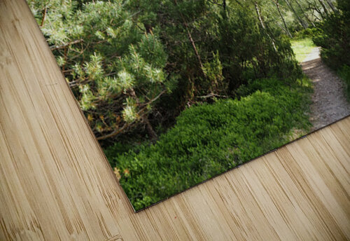 Mays Delight in the Scottish Highlands                                                                                                                Catriona Roberts Nature Photography and Designs puzzle