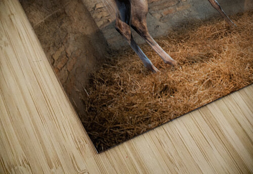 Old Barn Collection Beijing Suzanne Sturgill puzzle