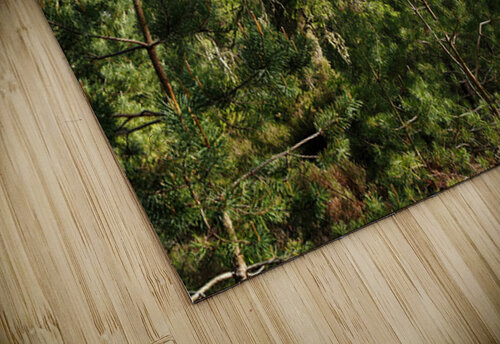  Springs Song in the Scottish Highlands                                                                                                                      Catriona Roberts Nature Photography and Designs puzzle