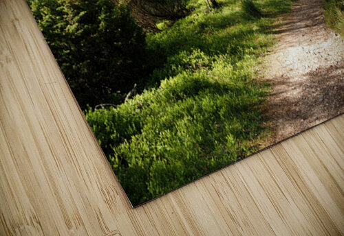 Scottish Highlands Springs Trail                                                                                         Catriona Roberts Nature Photography and Designs puzzle