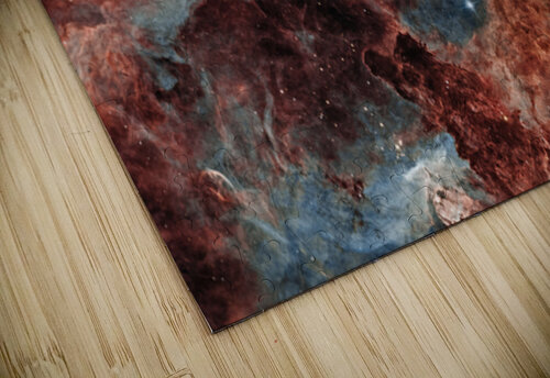 RCW 131 Toozastro puzzle