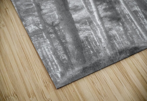 Monochrome Summer Pine Forest Catriona Roberts Nature Photography and Designs puzzle