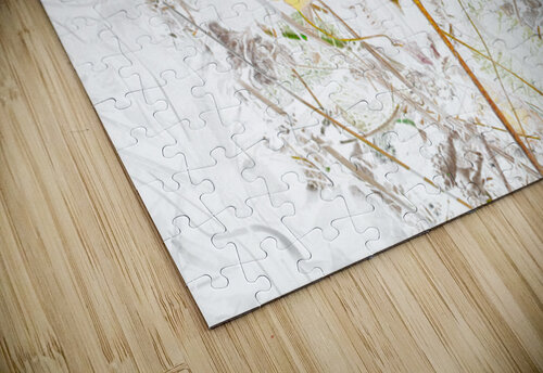  Abstract Primroses                                                                                                                     Catriona Roberts Nature Photography and Designs puzzle