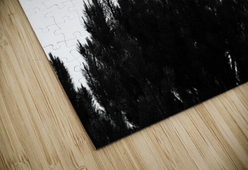 The Pine Tree and The Bird                                                                                                                      Catriona Roberts Nature Photography and Designs puzzle