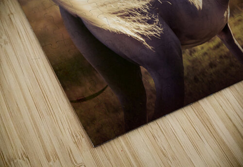 Hariry Al Shaqab 2 Suzanne Sturgill puzzle