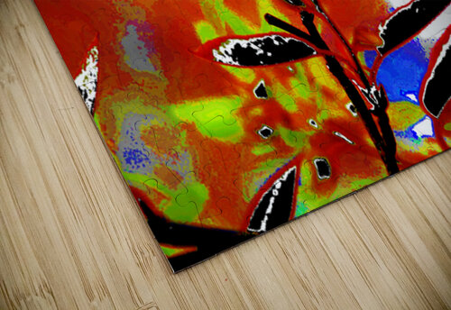 Abstract Florals                                                                                                                      Catriona Roberts Nature Photography and Designs puzzle