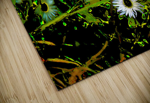  Abstract Daises                                                                                                                      Catriona Roberts Nature Photography and Designs puzzle