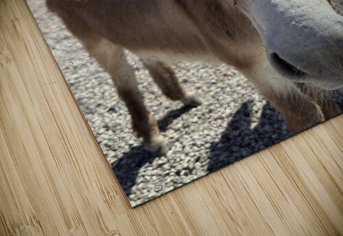 Nugget  Leslie Affeldt Photography puzzle