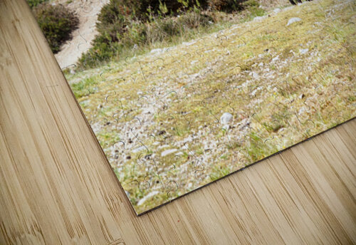  Springs Cycle Ride through the Scottish Highlands                                                                                                                     Catriona Roberts Nature Photography and Designs puzzle