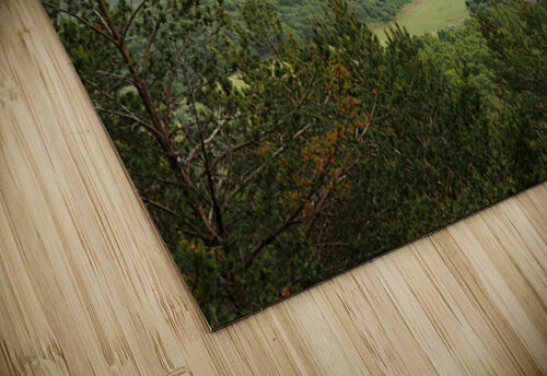 Springs Landscape in the Scottish Highlands                                                                                                                      Catriona Roberts Nature Photography and Designs puzzle