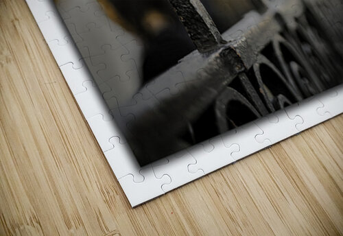 Century in a Scroll Moments By Shane puzzle