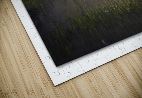 Grassland Reflection Moments By Shane puzzle