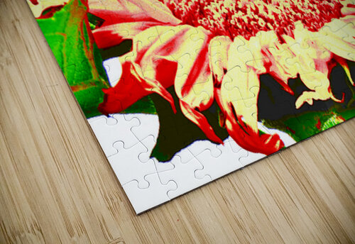 Orange Abstract Sunflower Catriona Roberts Nature Photography and Designs puzzle