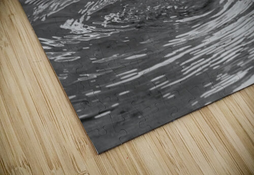 The Stillness of Nature: Gosling and Water Ripples  Chad Meyer puzzle
