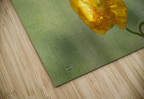 The Poppy Susan Diann Photography puzzle