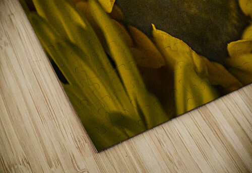 The Sunflower Susan Diann Photography puzzle