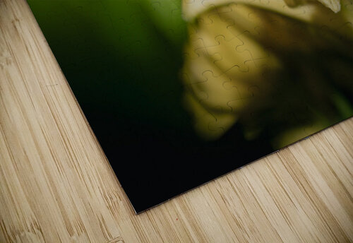 The Lilly Susan Diann Photography puzzle