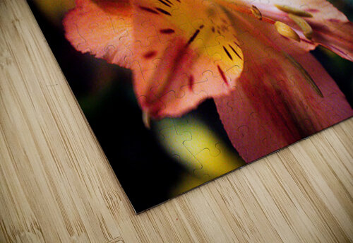 Flowers Susan Diann Photography puzzle