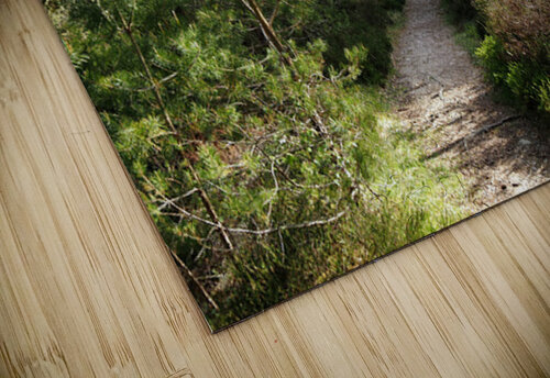   Springs Welcome in the Scottish Highlands                                                                                                                     Catriona Roberts Nature Photography and Designs puzzle