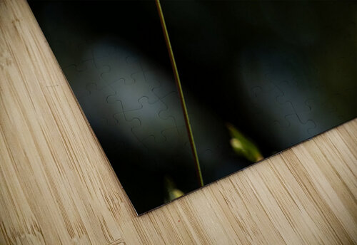 Spring Florals 9 Marya S puzzle