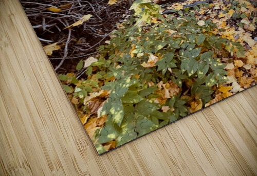 Autumn Staircase Leslie Affeldt Photography puzzle
