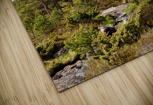  Scottish Highlands Wild Places                                                                                                                     Catriona Roberts Nature Photography and Designs puzzle