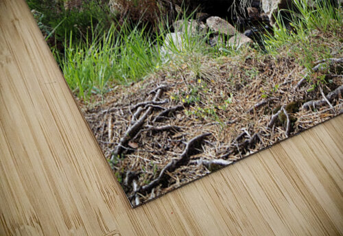  Scottish Highlands Home of the Wild Song                                                                                                                      Catriona Roberts Nature Photography and Designs puzzle