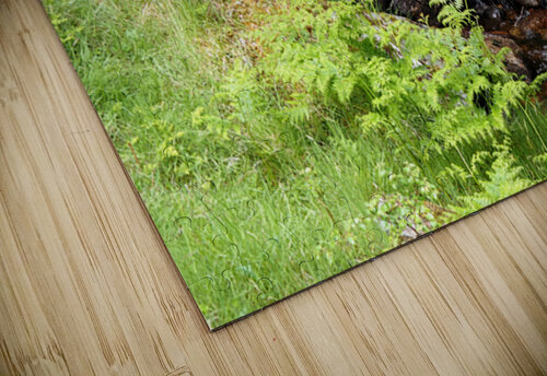 Wild Waters in the Scottish Highlands                                                                                                                      Catriona Roberts Nature Photography and Designs puzzle