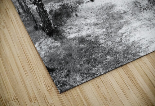 Serene Spring Forest in the Scottish Highlands                                                                                                                      Catriona Roberts Nature Photography and Designs puzzle