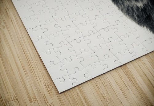 IMG 3042 Leslie Affeldt Photography puzzle