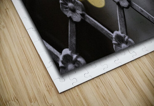Iron Latticework Moments By Shane puzzle