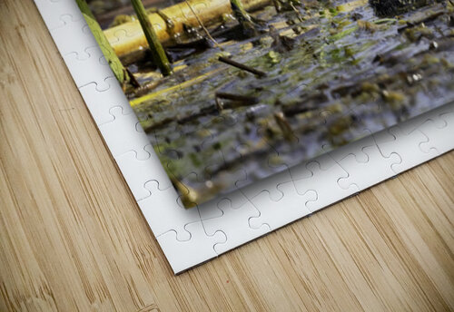 Small Beginnings Moments By Shane puzzle
