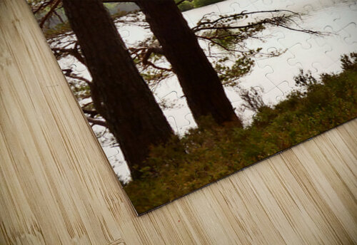 Loch Side View in the Scottish Highlands  Catriona Roberts Nature Photography and Designs puzzle