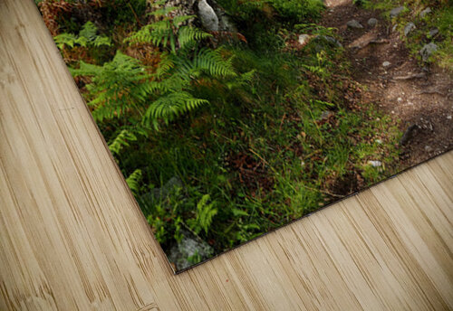 Springs Nature Waltz through the Scottish Highlands                                                                                                                       Catriona Roberts Nature Photography and Designs puzzle