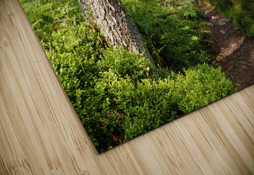 Springs Trail through the Scottish Highlands                                                                                                                      Catriona Roberts Nature Photography and Designs puzzle