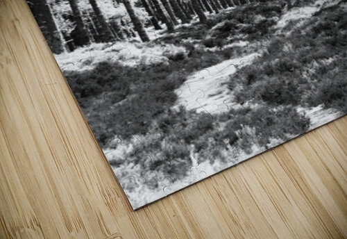 Springs Path through the Scottish Highlands                                                                                                                      Catriona Roberts Nature Photography and Designs puzzle