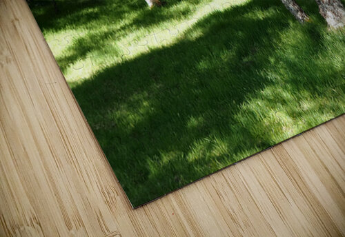 Scottish Highlands Summer Sunlight                                                                                                                      Catriona Roberts Nature Photography and Designs puzzle