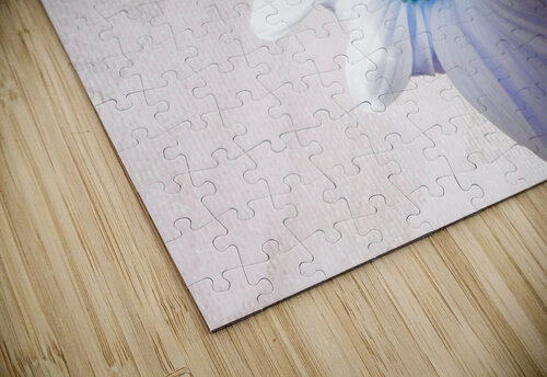 Delicate White Sunflower on  a Pale Abstract Background Catriona Roberts Nature Photography and Designs puzzle