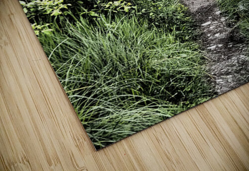 Secret Trail through the Scottish Highlands                                                                                                                      Catriona Roberts Nature Photography and Designs puzzle