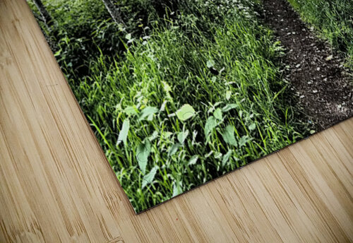 Natures Colourful Flow through the Scottish Highlands                                                                                                                      Catriona Roberts Nature Photography and Designs puzzle