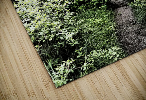 Natures Flow through the Scottish Highlands                                                                                                                      Catriona Roberts Nature Photography and Designs puzzle