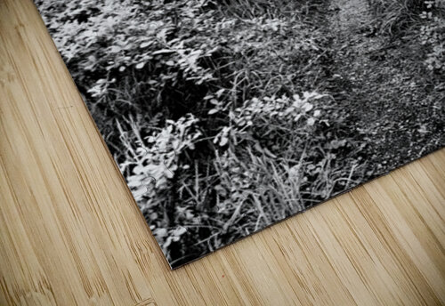   Natures Corridor through the Scottish Highlands                                                                                                                      Catriona Roberts Nature Photography and Designs puzzle