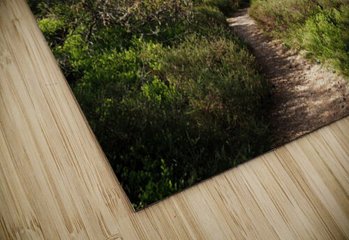  Springs Salute for the Scottish Highlands                                                                                                                     Catriona Roberts Nature Photography and Designs puzzle