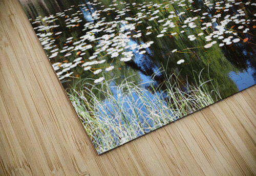 Scottish Highlands Lily Lochan                                                                                                                      Catriona Roberts Nature Photography and Designs puzzle