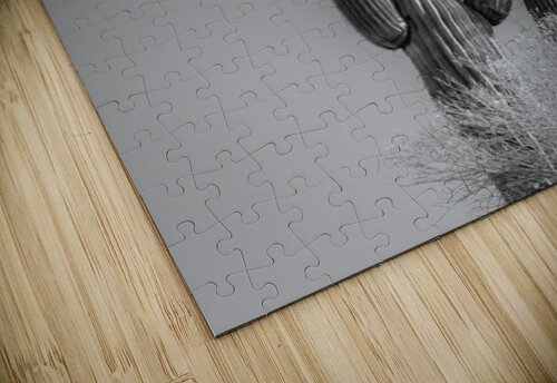 Saguaro Dream in black and white -2 Leslie Affeldt Photography puzzle